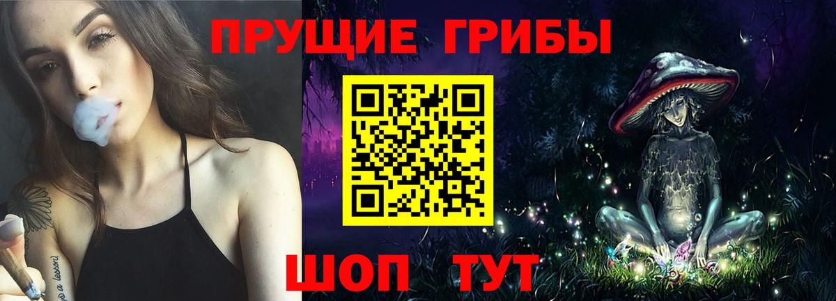 Пятигорск  где продают наркотики  Вход с VPN  Псилоцибиновые грибы Psilocybine cubensis 