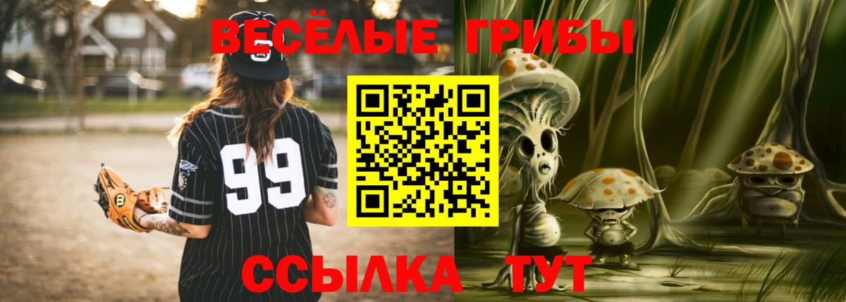 Псилоцибиновые грибы прущие грибы Пятигорск